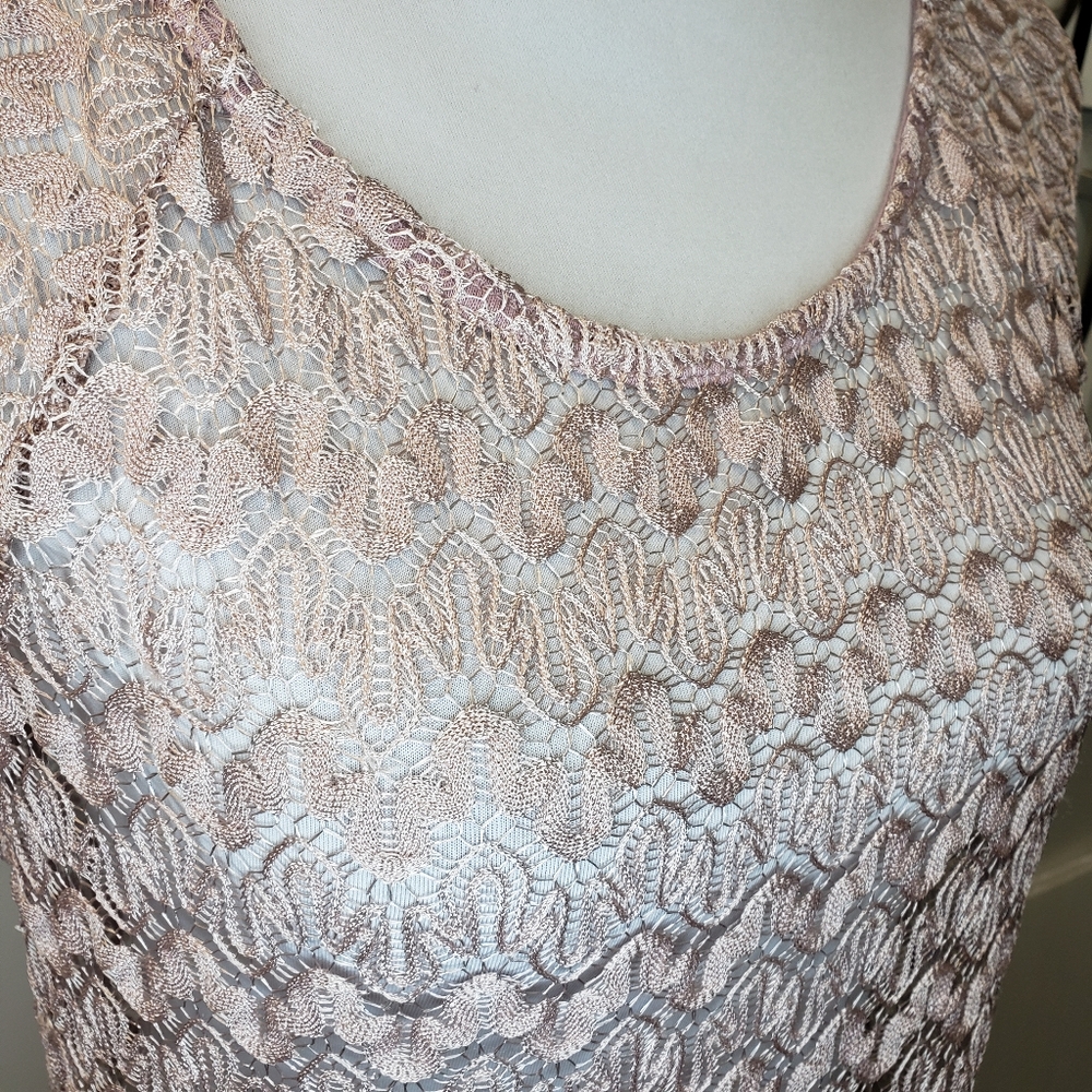 Shine On You Lace Top Blush Color Overlay - Picture 3 of 4